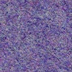 Pugi fenice 251 Swatch image for Pugi fenice 251
